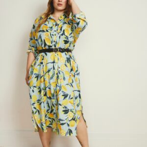 Odeon Linen Shirtdress